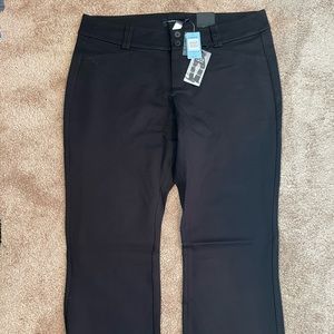 Torrid dress pant 22